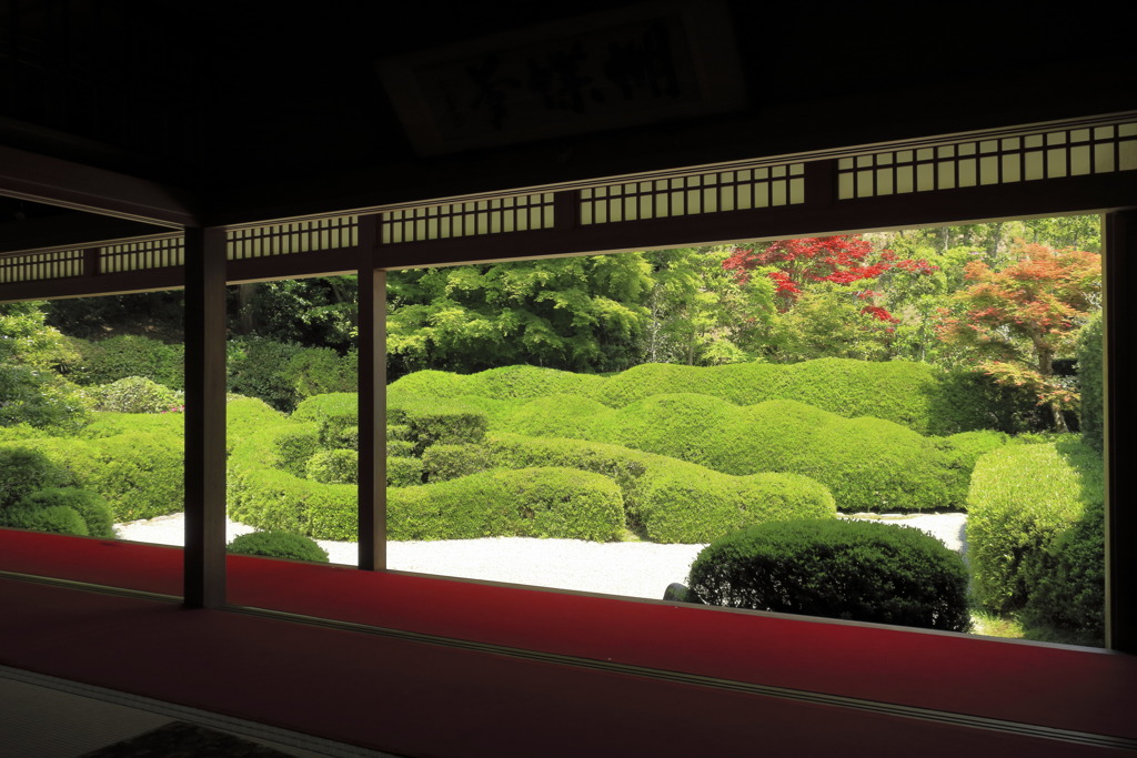 大池寺庭園②