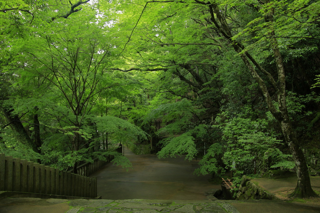 永源寺～緑の参道