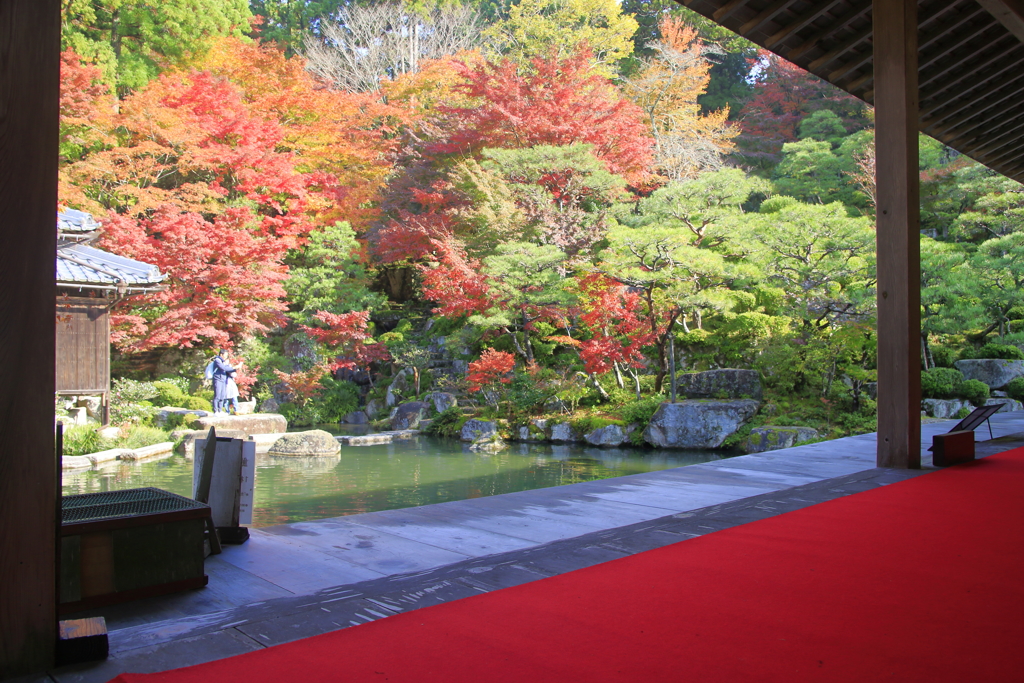 天下遠望の名園