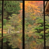 蓮華寺リフレクション