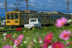 Good morning! Ohmi Railway Taga Line!