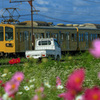 Good morning! Ohmi Railway Taga Line!