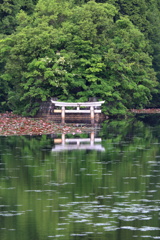 弁天池の沈み鳥居②