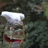 ひんやり快適 ？