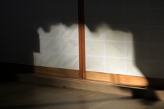 冬の日差し～明寿院にて