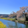 春の余呉