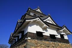 PERFECT BLUE