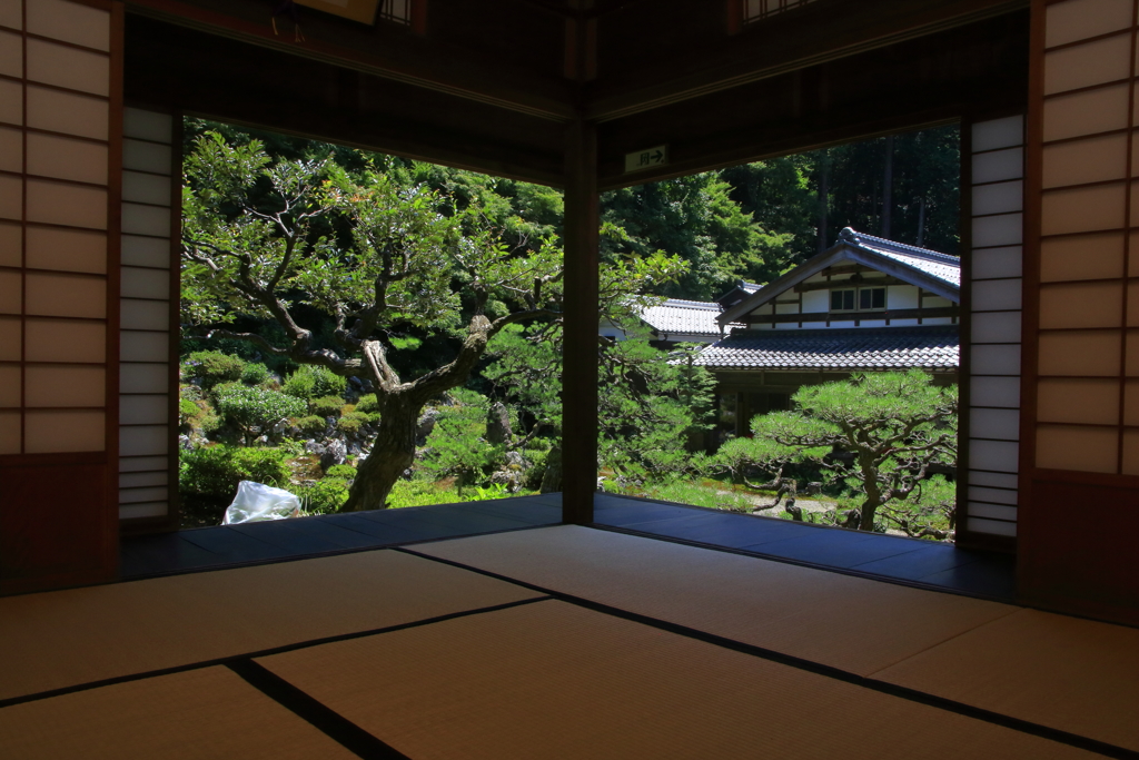 夏の庭園