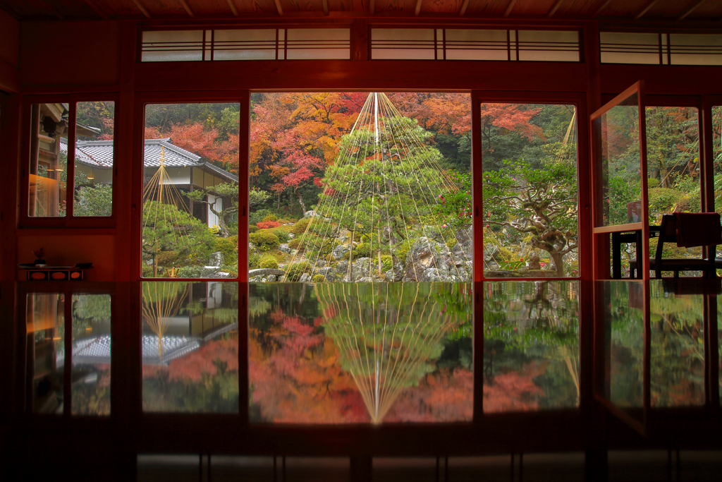 紅葉リフレクション