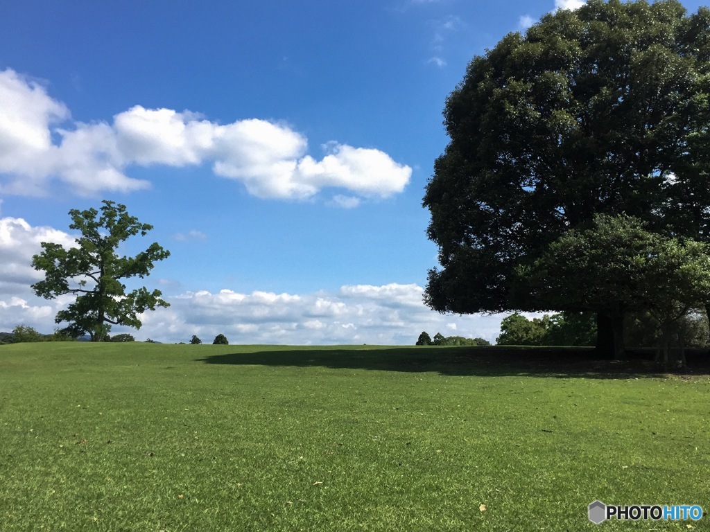 奈良公園にて