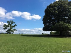 奈良公園にて