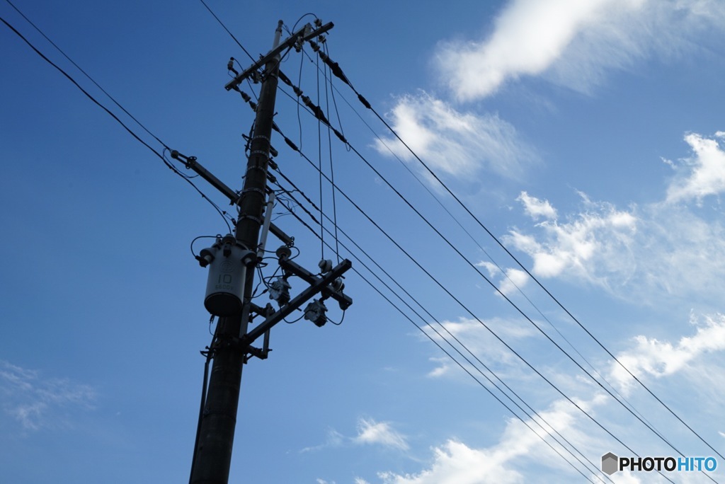 電柱を見上げて