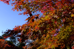 南禅寺2