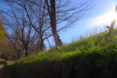 南禅寺に向かう途中3