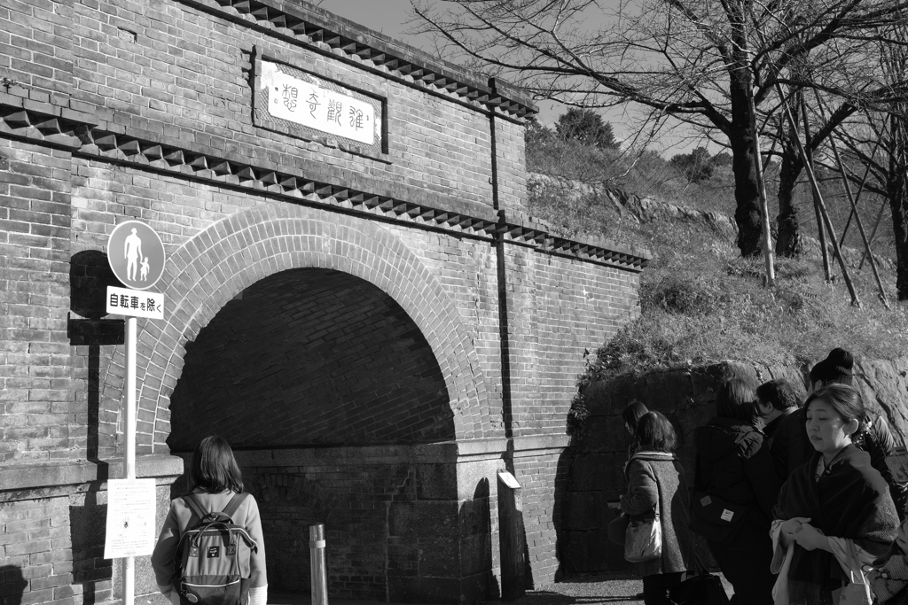 南禅寺に向かう途中2