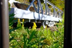 南禅寺に向かう途中5