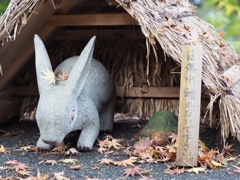 明月院にて③