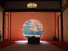 明月院にて①