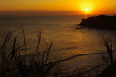 夕日