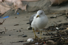 IMG_8615