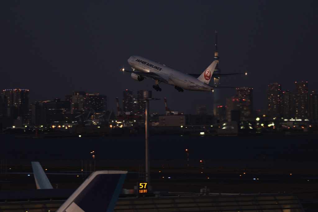 B777-200/JA007D/JAL/羽田空港