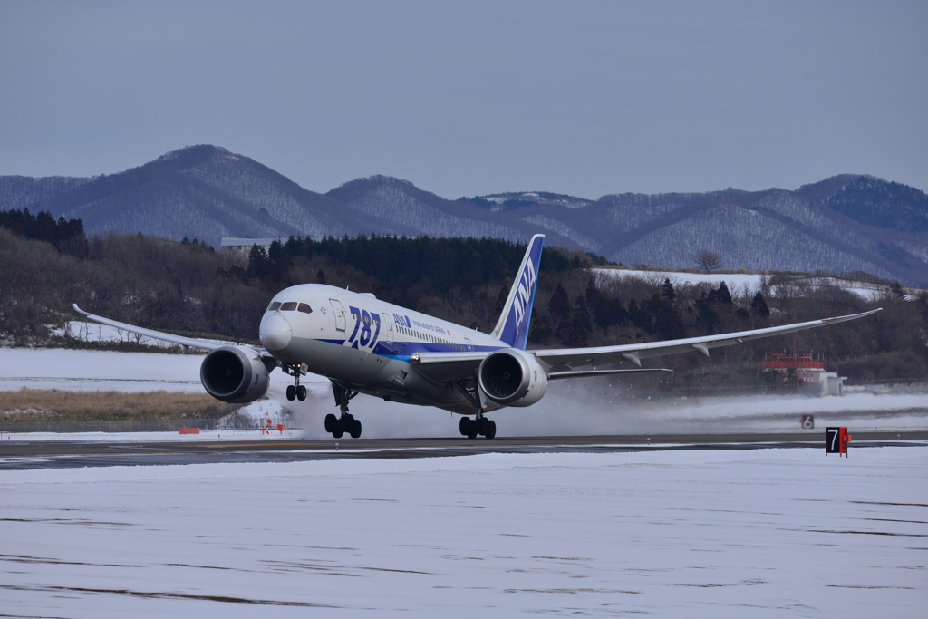 B787-8 / JA816A / ANA / 函館空港