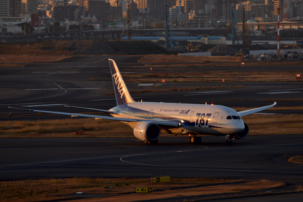 B787-8/JA819A/ANA/羽田空港