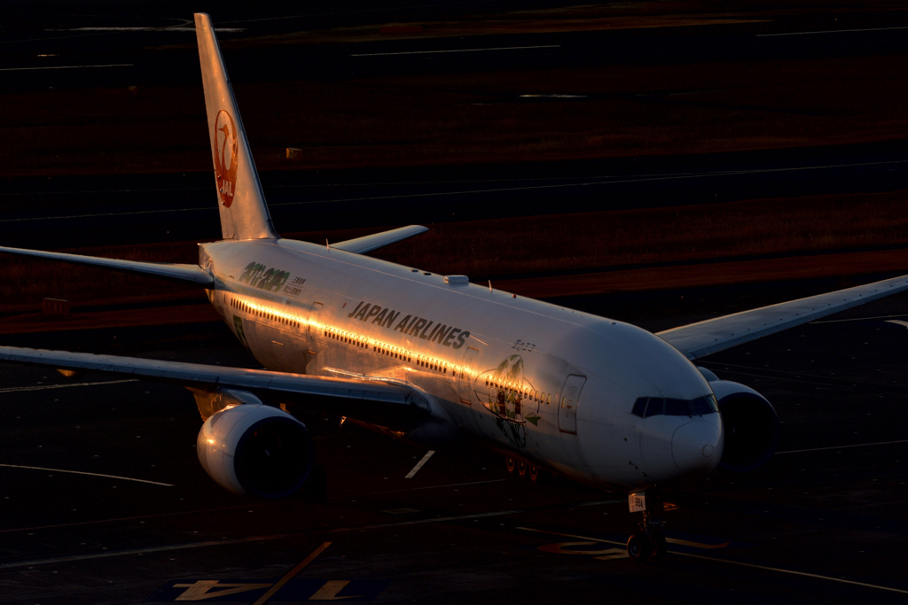 B777-200/JA8984/JAL/羽田空港