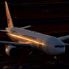 B777-200/JA8984/JAL/羽田空港