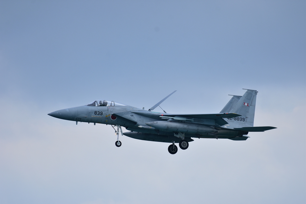 F-15J 203TFS JASDF 那覇基地