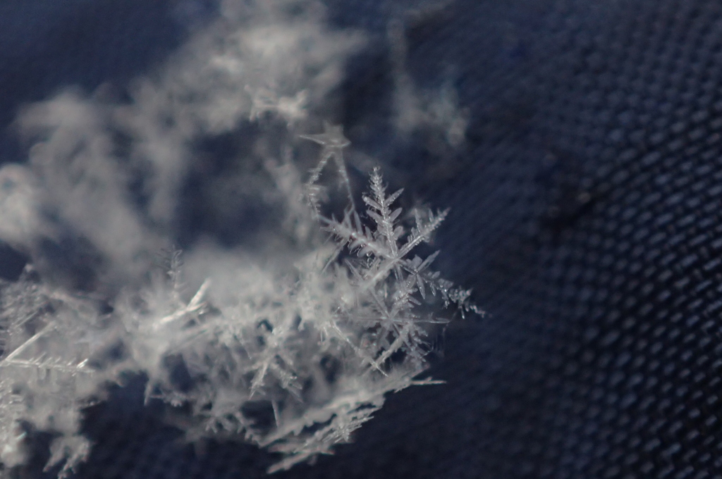 雪の結晶