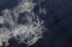 雪の結晶