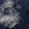 雪の結晶