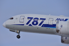B787-8 / JA816A / ANA / 函館空港