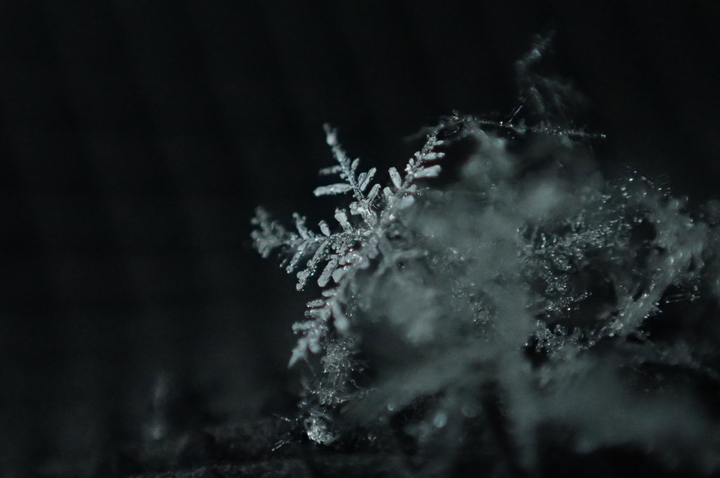 雪の結晶