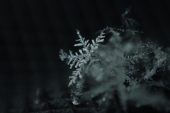 雪の結晶