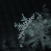 雪の結晶