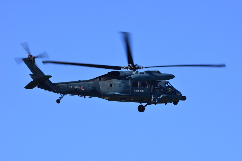 UH-60J / 入間基地航空祭２０１６