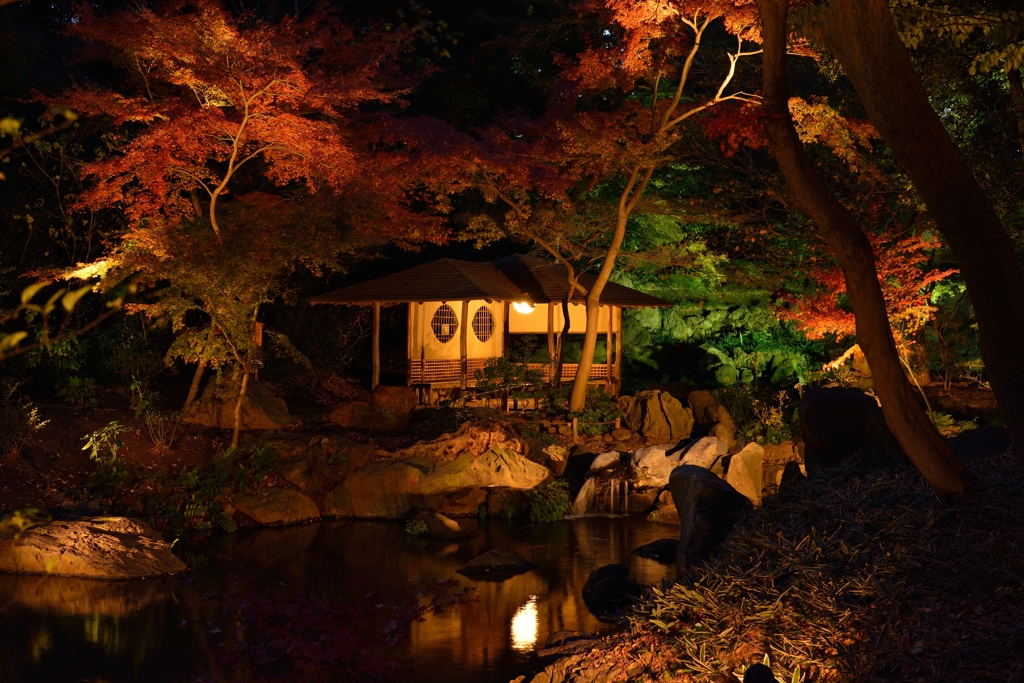 六義園（東京都）