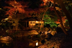 六義園（東京都）