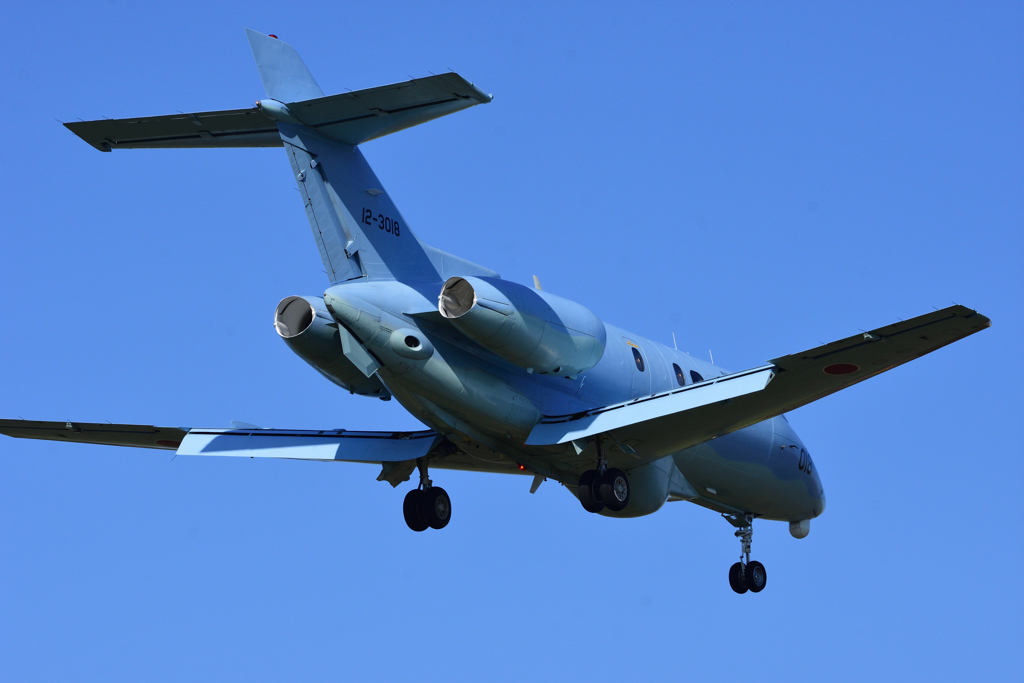 U-125A / 入間基地航空祭２０１６