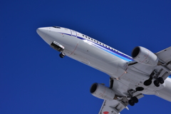 B737-800 / JA53AN / ANA / 函館空港