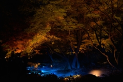 六義園（東京都）