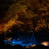 六義園（東京都）