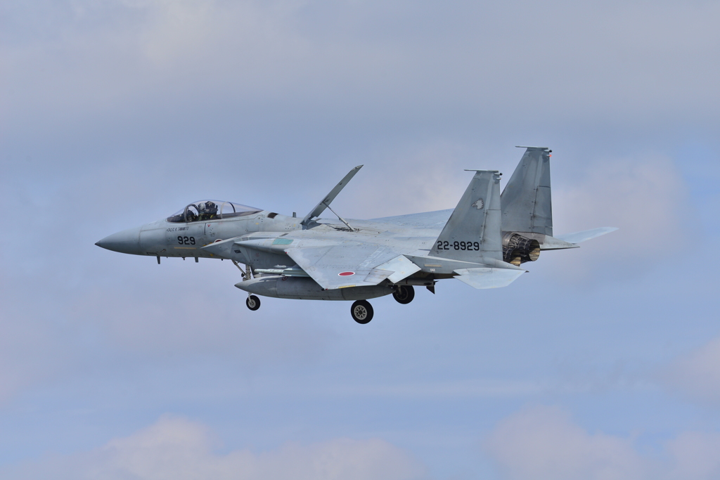 F-15J 204TFS JASDF 那覇基地