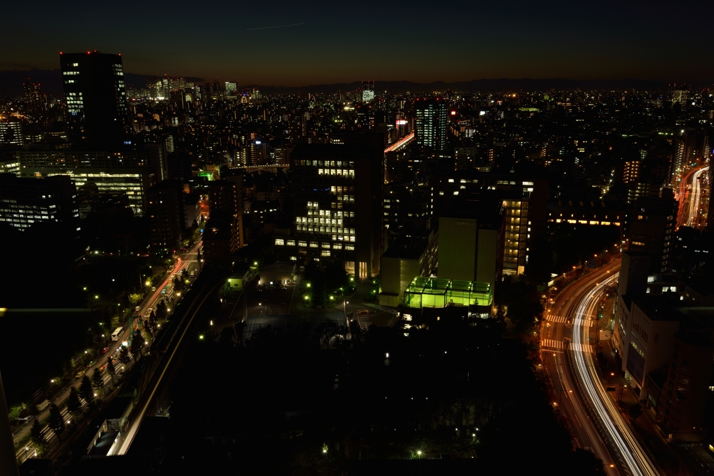 文京区シビックセンターからの夜景
