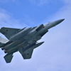 F-15J 303TFS JASDF 那覇基地