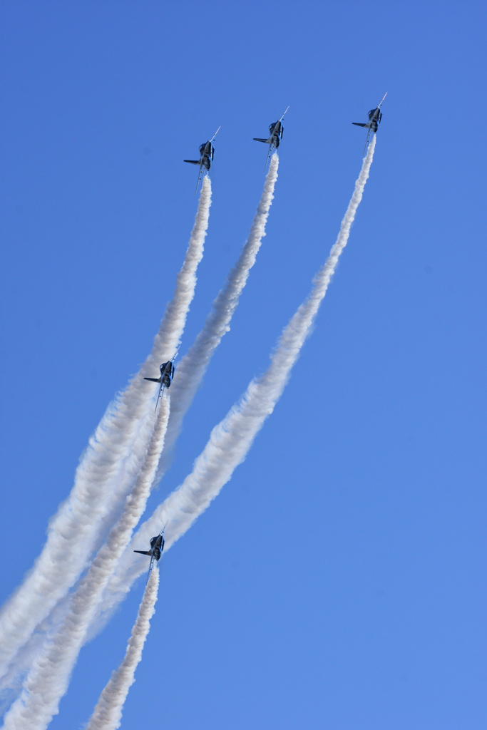 BlueImpulse / 入間基地航空祭２０１６