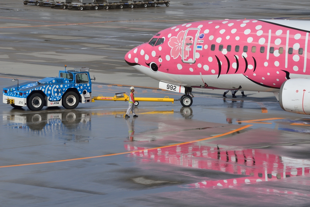 B737-400 JTA ジンベエジェット 那覇空港