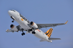A320-200 / B-50011 / Tigerair / 函館空港